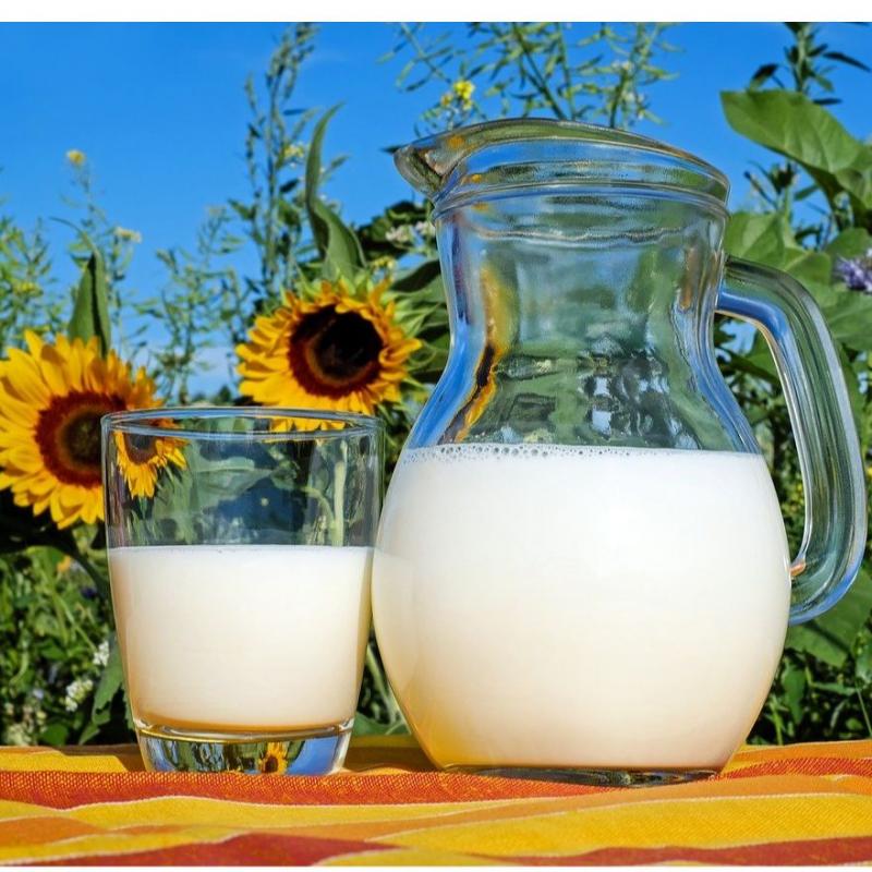 Food & Agriculture